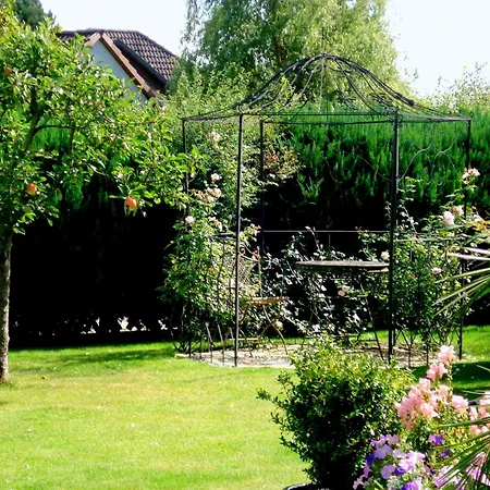 Bella Rosa Lueneburg Reppenstedt